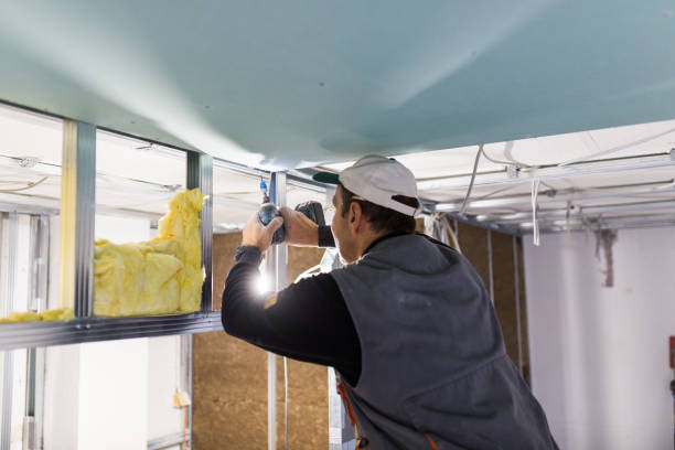 Best Insulation for Specific Applications in Moreland, ID