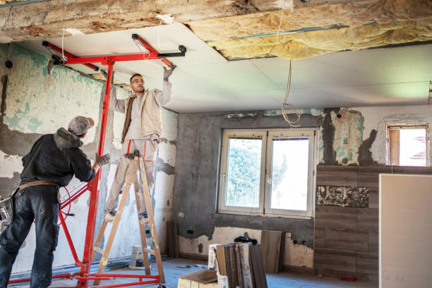 Best Insulation Maintenance and Repair in Moreland, ID