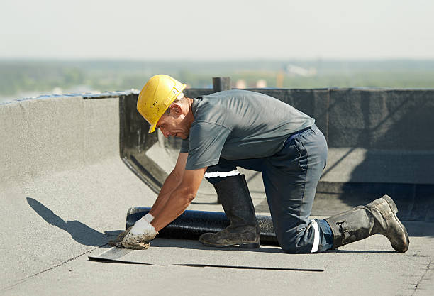 Best Insulation Installation Services in Moreland, ID