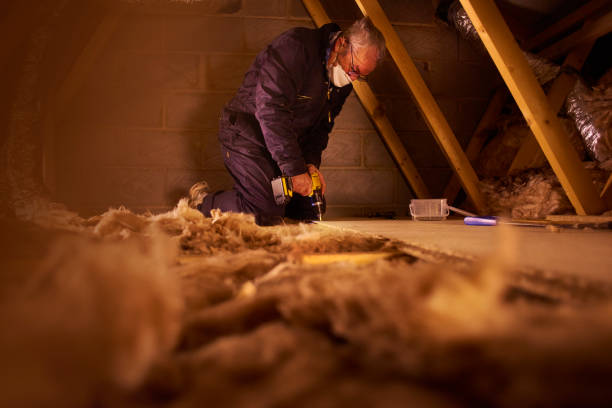 Professional Insulation Contractor in ID